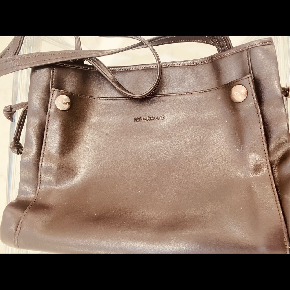 Leather Brown Long Champ